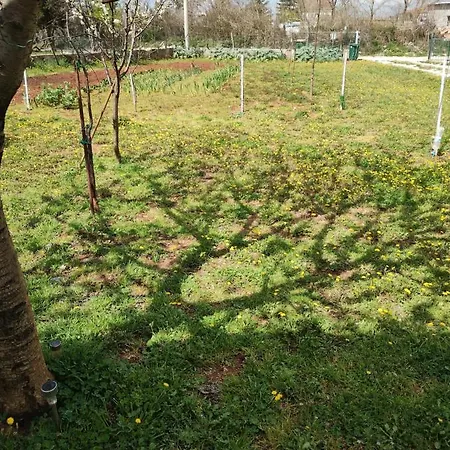Enia Apartman Murvica