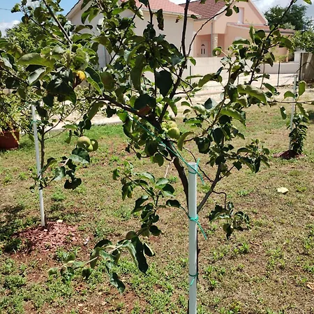 Apartman Enia